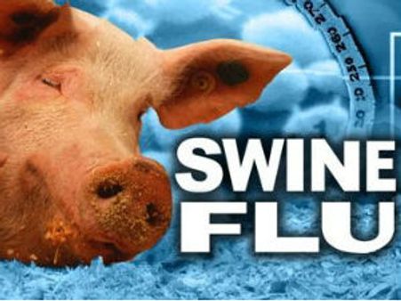 સ્વાઇન ફ્લૂ: જામનગરમાં વધુ એક મોત, રાજ્યમાં મૃત્યુઆંક 116