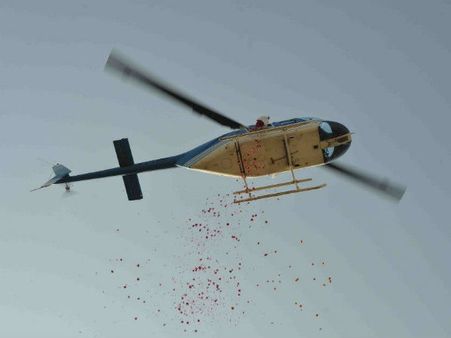 ખોડિયારમાતાની જન્મજંયતીની ઉજવણી ખોડિયારમાતાની જન્મજંયતીની ઉજવણી