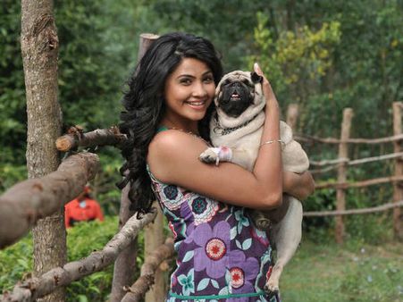 બૉલીવુડને ક્રેઝી કરી શકશે ડેઝી?