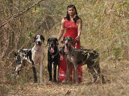 બૉલીવુડને ક્રેઝી કરી શકશે ડેઝી?