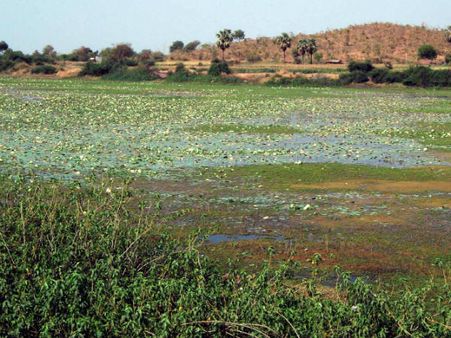 અલૌકિકતાની મૂરત પણ છે ગુજરાતનું આ ગામ અલૌકિકતાની મૂરત પણ છે ગુજરાતનું આ ગામ