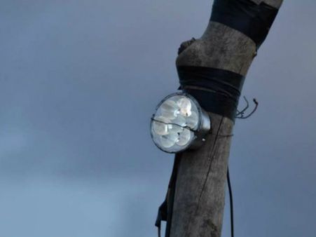 માત્ર 11 વર્ષના કિશોરે બનાવ્યું સિંહને ડરાવવાનું અનોખું ઉપકરણ!!!