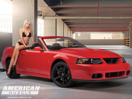 હોંશ ઉડાવી દે તેવું અમેરિકન મસલ કેલેન્ડર