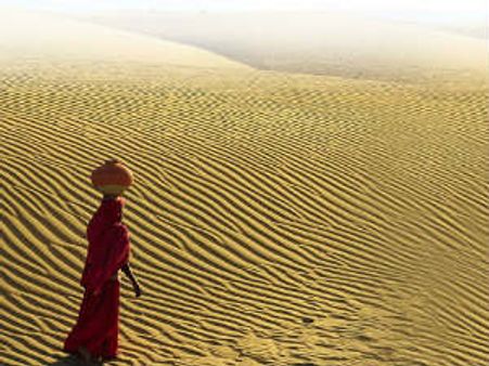 કચ્છના ભાંજડા બેટનો 141 વર્ષ બાદ પ્રથમવાર અભ્યાસ કરાયો