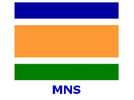 ઇન્ડિયાબુલ્સની ઓફિસે પથ્થર મારો, MNSના બે કાર્યકરોની ધરપકડ