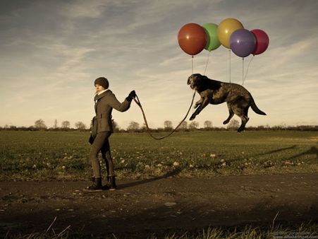 Amazing Photo Manipulation Amazing Photo Manipulation
