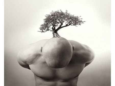 Amazing Photo Manipulation Amazing Photo Manipulation