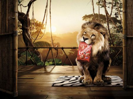 Amazing Photo Manipulation Amazing Photo Manipulation