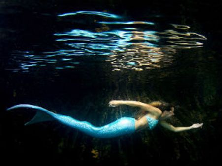 શાર્ક સાથે સ્વિમઃ 'જલપરી'એ બનાવડાવી 10 હજાર યુરોની પૂંછ