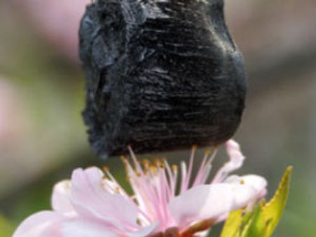 વૈજ્ઞાનિકોએ બનાવ્યો વિશ્વનો સૌથી હળવો પ્રદાર્થ