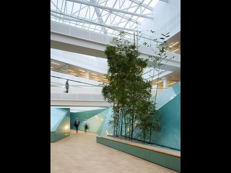 વિશ્વની સૌથી મોટી ઓડિટ કંપનીની તસવીરી ઝલક