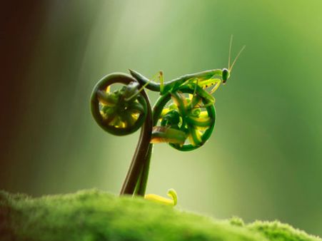 ક્યારેય જોઇ છે તસવીર ખેંચવાની આવી ટાઇમિંગ