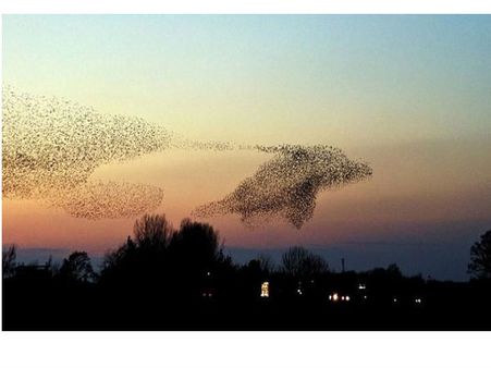 ક્યારેય જોઇ છે તસવીર ખેંચવાની આવી ટાઇમિંગ