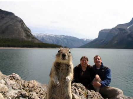 ક્યારેય જોઇ છે તસવીર ખેંચવાની આવી ટાઇમિંગ