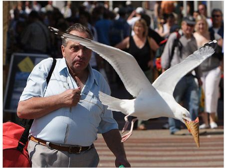 ક્યારેય જોઇ છે તસવીર ખેંચવાની આવી ટાઇમિંગ