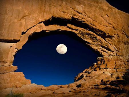 ક્યારેય જોઇ છે તસવીર ખેંચવાની આવી ટાઇમિંગ