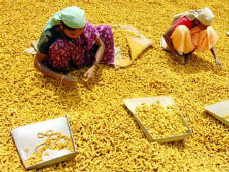 નહાતી વખતે આ મસાલાને પાણીમાં કરો મિક્સ, ત્વચામાં જબરદસ્ત ગ્લો આવશે, ખીલથી પણ મળશે છૂટકારો