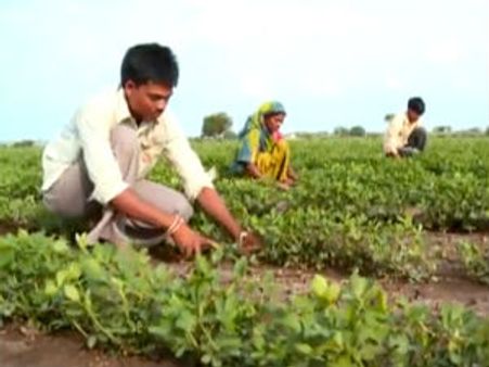 Gujarat Budget 2022 : આદિજાતિ વિકાસ વિભાગ માટે કુલ 2909 કરોડની જોગવાઇ