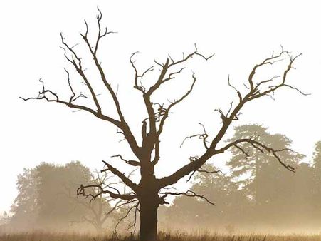 જાણો, સ્વપ્નનો જીવન પર કેવો થાય છે પ્રભાવ