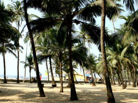 ગોવા, એક શાનદાર ડેસ્ટિનેશન