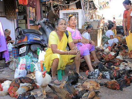 ગોવા, એક શાનદાર ડેસ્ટિનેશન