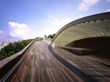 વિશ્વના આકર્ષક બ્રિજ જેને જોઇને તમે કહેશો વાહ!