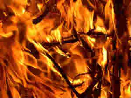 દિલ્હીમાં આગનું તાંડવ, 3ના મોત, 100 ઝુપડીઓ સ્વાહા