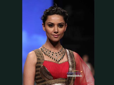 Photo : India International Jewellery Week 2013 in Delhi