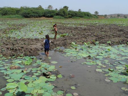 ડેસર ભયાવહ ભૂતકાળ ભુલાવી ઝંખે છે વિકાસનો પથ ડેસર ભયાવહ ભૂતકાળ ભુલાવી ઝંખે છે વિકાસનો પથ