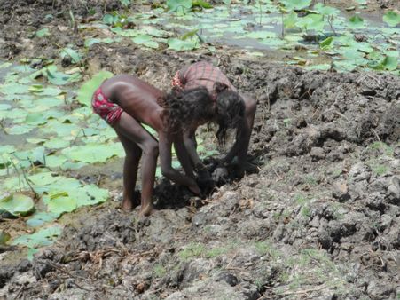 ડેસર ભયાવહ ભૂતકાળ ભુલાવી ઝંખે છે વિકાસનો પથ ડેસર ભયાવહ ભૂતકાળ ભુલાવી ઝંખે છે વિકાસનો પથ