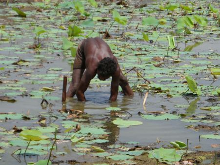 ડેસર ભયાવહ ભૂતકાળ ભુલાવી ઝંખે છે વિકાસનો પથ ડેસર ભયાવહ ભૂતકાળ ભુલાવી ઝંખે છે વિકાસનો પથ