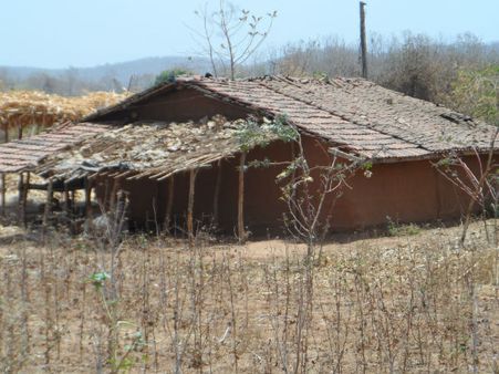 ડેસર ભયાવહ ભૂતકાળ ભુલાવી ઝંખે છે વિકાસનો પથ ડેસર ભયાવહ ભૂતકાળ ભુલાવી ઝંખે છે વિકાસનો પથ