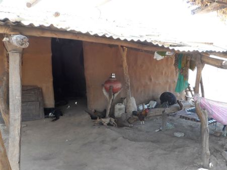 ડેસર ભયાવહ ભૂતકાળ ભુલાવી ઝંખે છે વિકાસનો પથ ડેસર ભયાવહ ભૂતકાળ ભુલાવી ઝંખે છે વિકાસનો પથ