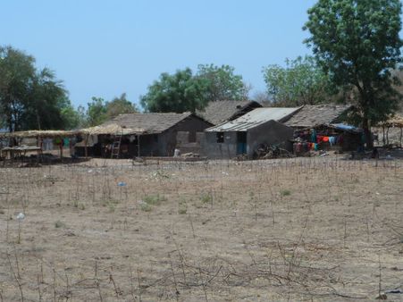 ડેસર ભયાવહ ભૂતકાળ ભુલાવી ઝંખે છે વિકાસનો પથ ડેસર ભયાવહ ભૂતકાળ ભુલાવી ઝંખે છે વિકાસનો પથ