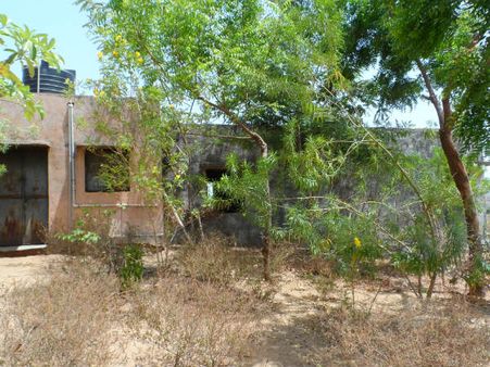 ડેસર ભયાવહ ભૂતકાળ ભુલાવી ઝંખે છે વિકાસનો પથ ડેસર ભયાવહ ભૂતકાળ ભુલાવી ઝંખે છે વિકાસનો પથ