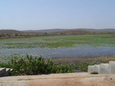 ડેસર ભયાવહ ભૂતકાળ ભુલાવી ઝંખે છે વિકાસનો પથ ડેસર ભયાવહ ભૂતકાળ ભુલાવી ઝંખે છે વિકાસનો પથ