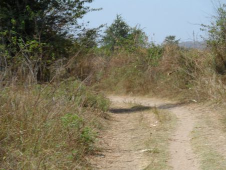 ડેસર ભયાવહ ભૂતકાળ ભુલાવી ઝંખે છે વિકાસનો પથ ડેસર ભયાવહ ભૂતકાળ ભુલાવી ઝંખે છે વિકાસનો પથ