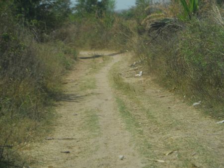 ડેસર ભયાવહ ભૂતકાળ ભુલાવી ઝંખે છે વિકાસનો પથ ડેસર ભયાવહ ભૂતકાળ ભુલાવી ઝંખે છે વિકાસનો પથ