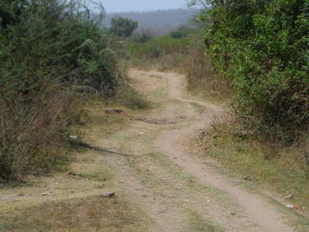 ડેસર ભયાવહ ભૂતકાળ ભુલાવી ઝંખે છે વિકાસનો પથ ડેસર ભયાવહ ભૂતકાળ ભુલાવી ઝંખે છે વિકાસનો પથ