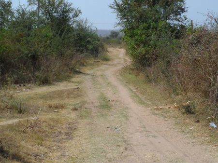 ડેસર ભયાવહ ભૂતકાળ ભુલાવી ઝંખે છે વિકાસનો પથ ડેસર ભયાવહ ભૂતકાળ ભુલાવી ઝંખે છે વિકાસનો પથ