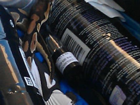 વિમાન યાત્રીની સુટકેસમાંથી પાંચ સાપ મળી આવતાં ધરપકડ