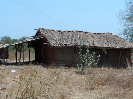 ડેસરવાસીઓ માટે એક મસિહાથી કમ નહોતો આ ચોર ડેસરવાસીઓ માટે એક મસિહાથી કમ નહોતો આ ચોર