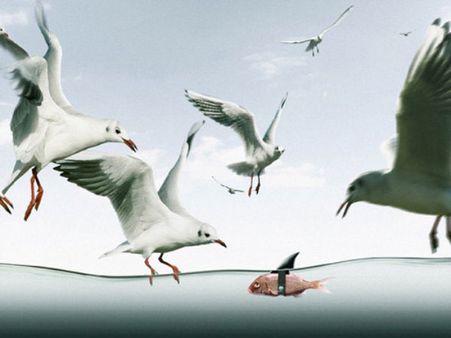 આશ્ચર્યકારક ક્રિએટિવ તસવીરો