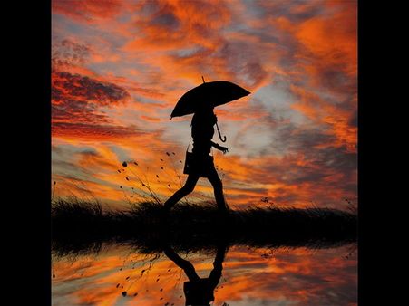 આને કહેવાય રિફ્લેક્શન ફોટોગ્રાફી આને કહેવાય રિફ્લેક્શન ફોટોગ્રાફી