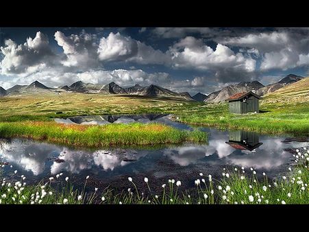 આને કહેવાય રિફ્લેક્શન ફોટોગ્રાફી આને કહેવાય રિફ્લેક્શન ફોટોગ્રાફી