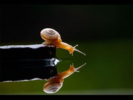 આને કહેવાય રિફ્લેક્શન ફોટોગ્રાફી આને કહેવાય રિફ્લેક્શન ફોટોગ્રાફી