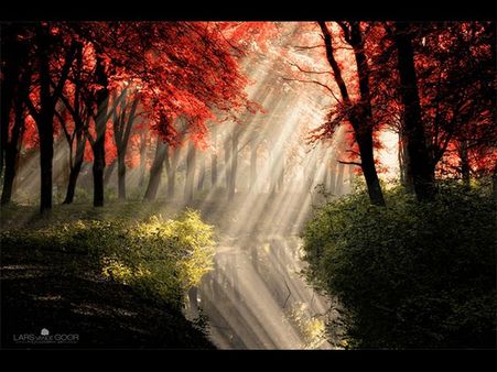 આને કહેવાય રિફ્લેક્શન ફોટોગ્રાફી આને કહેવાય રિફ્લેક્શન ફોટોગ્રાફી