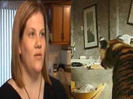 જ્યારે બાથરૂમમાં મહિલાનો ભેટો વાઘ સાથે થઇ ગયો !