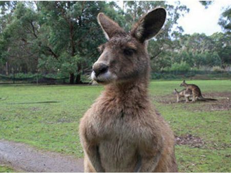 શું થાય જ્યારે ફોટો પડાવતી વખતે કોઇ વચ્ચે આવી જાય?