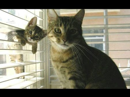 શું થાય જ્યારે ફોટો પડાવતી વખતે કોઇ વચ્ચે આવી જાય?